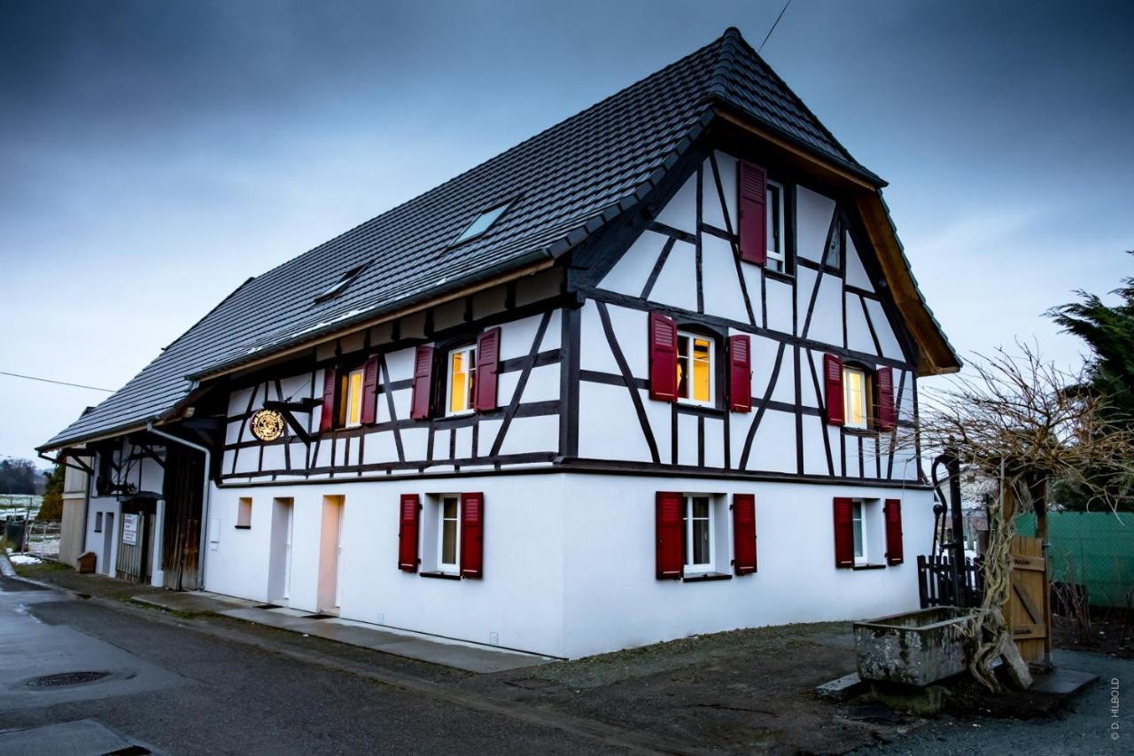 Gite Les Sabots De Paille, Alsace Haut-Rhin Ballesdorf 外观 照片