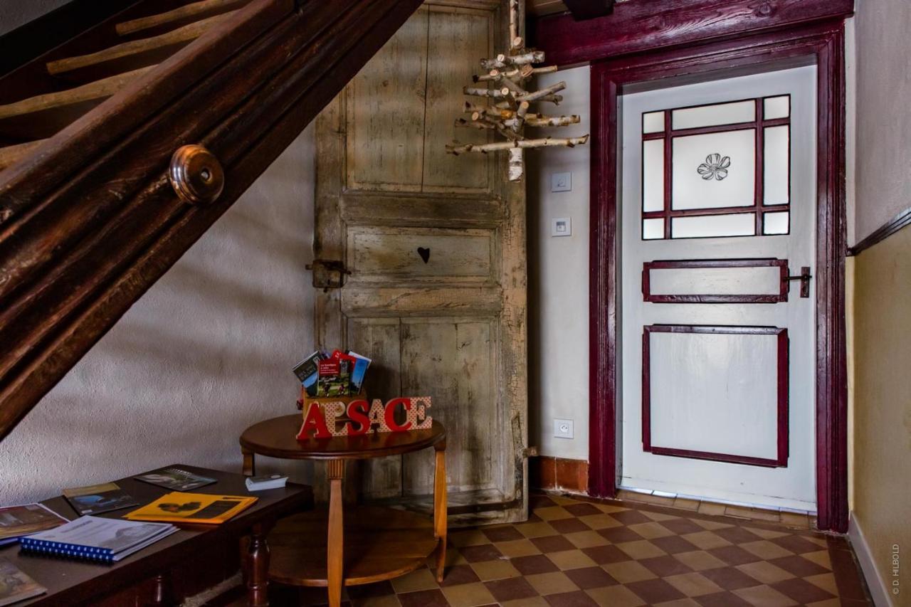 Gite Les Sabots De Paille, Alsace Haut-Rhin Ballesdorf 外观 照片