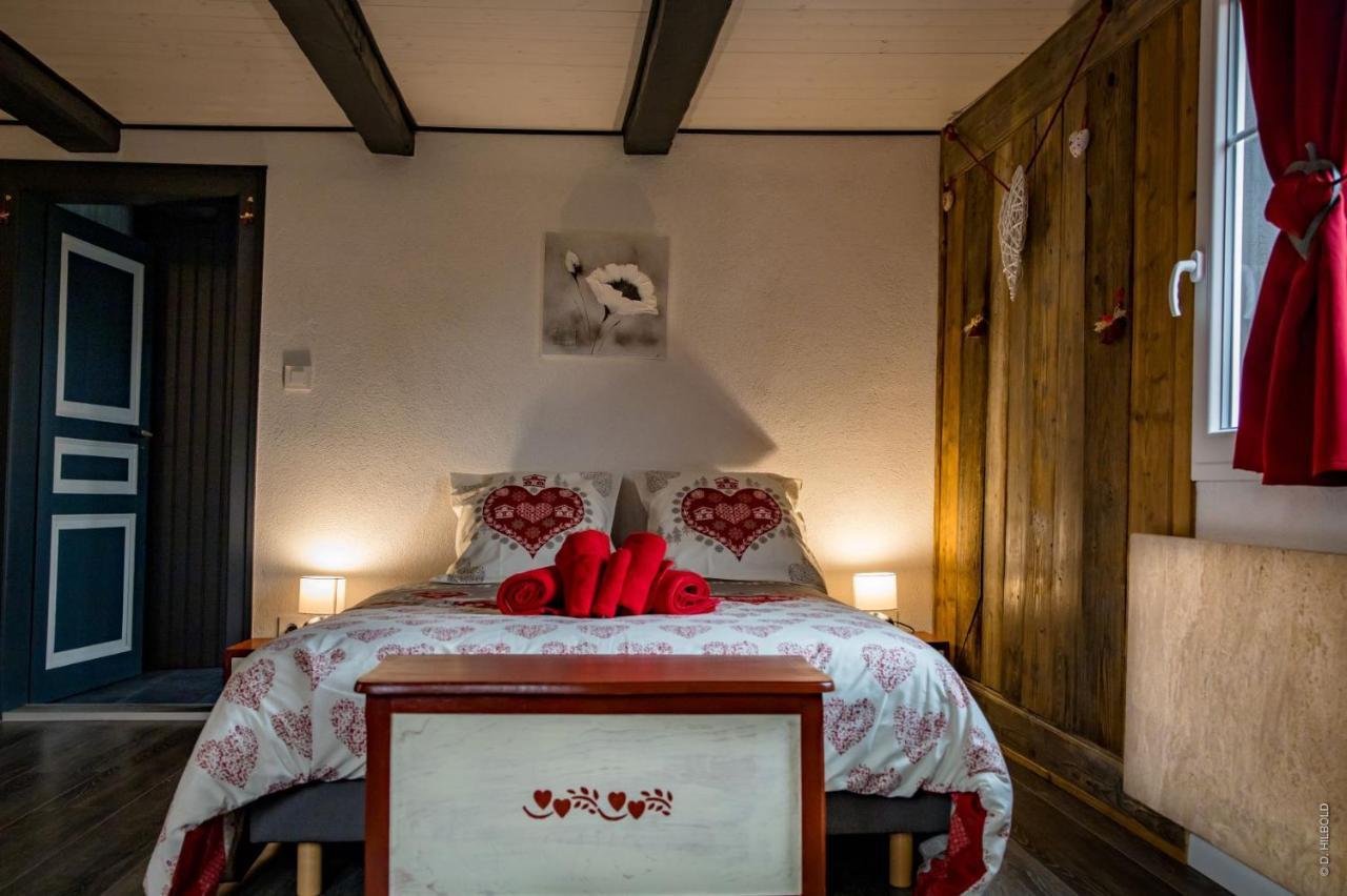 Gite Les Sabots De Paille, Alsace Haut-Rhin Ballesdorf 外观 照片