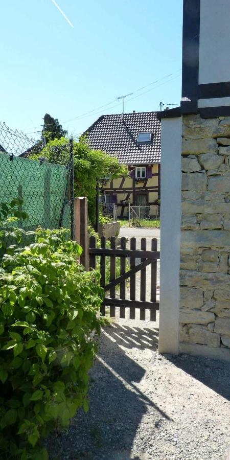 Gite Les Sabots De Paille, Alsace Haut-Rhin Ballesdorf 外观 照片